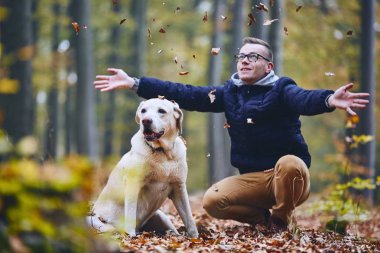 Köpek orman içinde olan adam. Labrador geri almak--dan sonbahar zevk evde beslenen hayvan sahip.