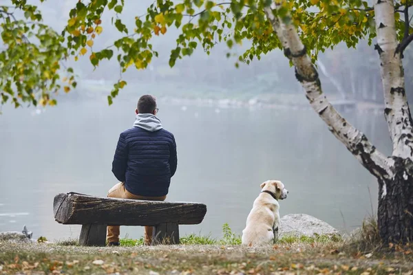 Hombre Pensativo Con Perro Contemplación Banco Madera Cerca Estanque Naturaleza — Foto de Stock