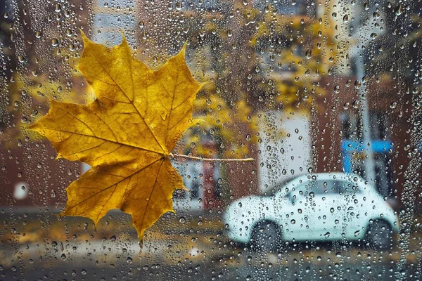 Осень Городе Падшие Кленовые Листья Капли Дождя Окно Машины Напротив — стоковое фото