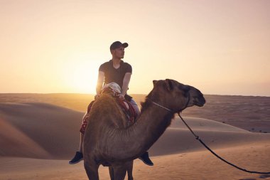 Deve çölde inanılmaz günbatımında sürme. Kum tepeleri yolculuğa zevk genç adam. Umman Sultanlığı wahiba Sands
