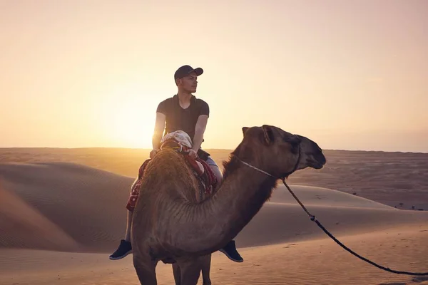 Camello Montando Desierto Atardecer Joven Disfrutando Del Viaje Dunas Arena — Foto de Stock
