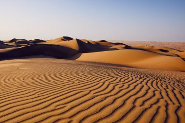 Çöl peyzaj kum tepeleri. Wahiba Sands, Umman Sultanlığı.
