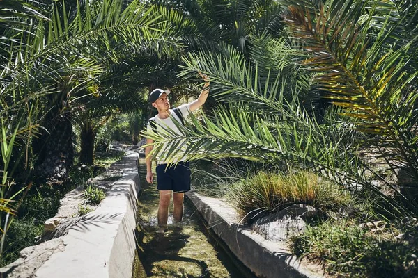 Young Tourist Walking Water Canal Palm Trees Wadi Bani Khalid — Stock Photo, Image