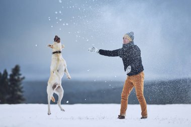 Evde beslenen hayvan sahip ve köpek arasındaki dostluk. Genç adam kış manzara içinde labrador geri almak ile oynarken. 