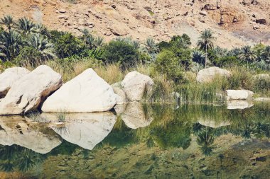 Manzara Umman. Wadi Tiwi ortasında gölünde pastoral gün.