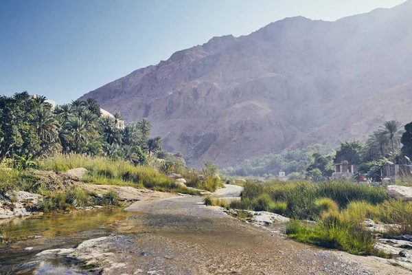 Paisaje Omán Camino Medio Wadi Tiwi Día Idílico — Foto de Stock