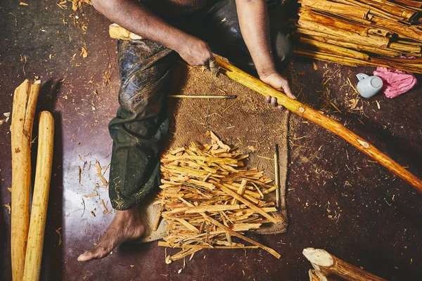 Hands Man Preparing Cinnamon Sticks Manual Worker Sri Lanka — Stock Photo, Image