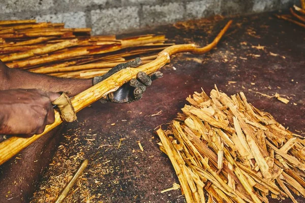 Hände Des Mannes Der Zimtstangen Zubereitet Handwerker Sri Lanka — Stockfoto
