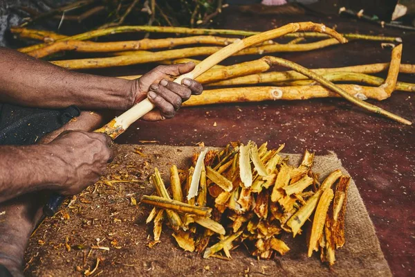 Hands Man Preparing Cinnamon Sticks Manual Worker Sri Lanka — Stock Photo, Image