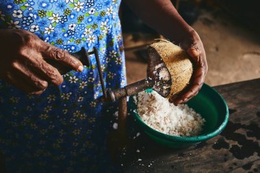 Hindistan cevizi rendesi. Geleneksel ev mutfak gıda hazırlama kadın. Sri Lanka iç yaşam.