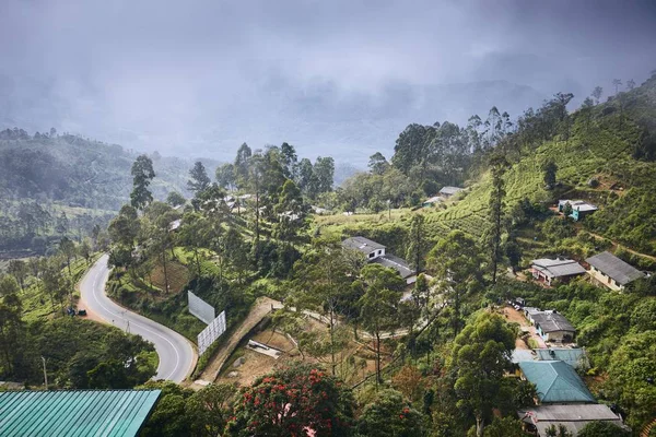 Kasaba Ortasında Çay Tarlaları Bulutlarda Manzara Haputale Sri Lanka — Stok fotoğraf