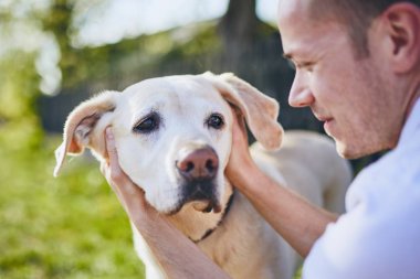 Neşeli köpek ve sahibi