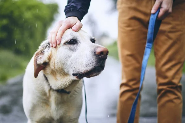 Homme avec chien sous la pluie — Photo