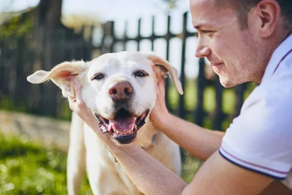 Felice cane e il suo proprietario — Foto Stock