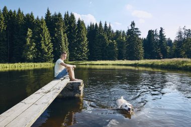 Köpek ile pastoral yaz