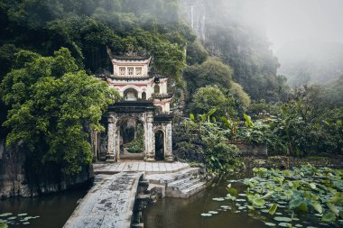Vietnam doğasının ortasında eski tapınak