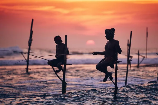 Tradicional pesca stilt no Sri Lanka — Fotografia de Stock