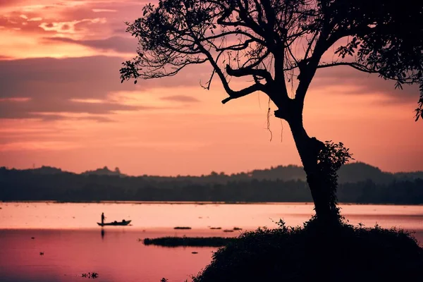 Silhouette Arbre Sur Bord Lac Contre Pêcheur Sur Bateau Coucher — Photo