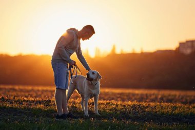 Güzel günbatımında köpekli bir adam. Evcil hayvan sahibi labrador av köpeğini sahada okşuyor..