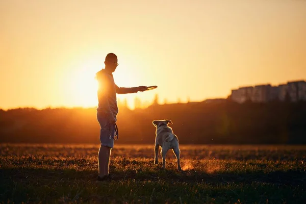 Man Gooit Vliegende Schijf Voor Zijn Hond Huisdier Eigenaar Met — Stockfoto