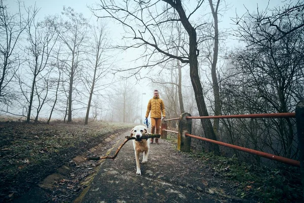 Young Man His Dog Walking Sidewalk Public Park Fog Playful — Stock Photo, Image