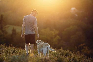Gün batımında çayırda köpekli bir adam. Evcil hayvan sahibi labrador av köpeğiyle çimenlerde yürüyor..