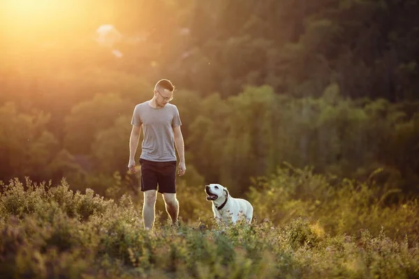 Uomo Con Cane Sul Prato Tramonto Proprietario Animale Domestico Piedi — Foto Stock