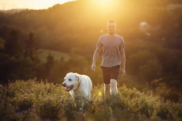 Uomo Con Cane Sul Prato Tramonto Proprietario Animale Domestico Piedi — Foto Stock