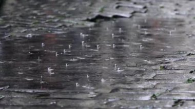 Yağmur sırasında su birikintisindeki araba ışıklarının yansıması. Çek Cumhuriyeti Prag 'da Hüzünlü Gün.