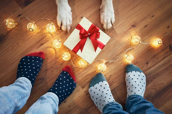 Festeggiamenti Natalizi Casa Famiglia Con Cane Intorno Regalo Natale — Foto Stock