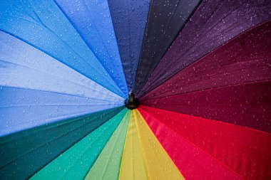 Yağmurdan sonra renkli şemsiyeye su damlıyor