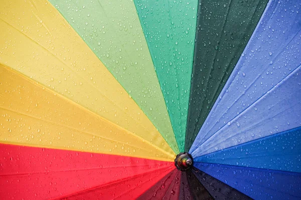 Yağmurdan sonra renkli şemsiyeye su damlıyor