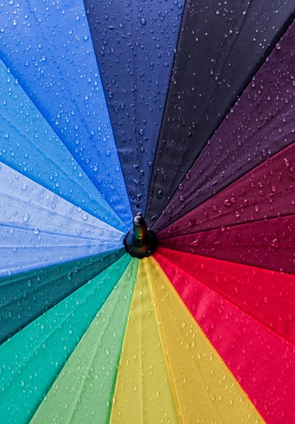 Yağmurdan sonra renkli şemsiyeye su damlıyor