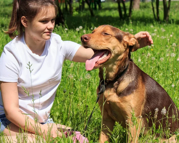 Yürüyüşe çıkmış bir kız kahverengi bir köpeği oynar ve okşar.