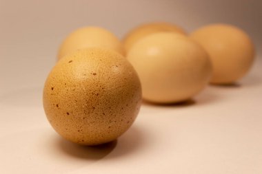 Ön plandaki yumurta hafif bir arka planda yatıyor. Yumurtanın etrafında açık kahverengi var. Yüzey tasarımı. Yemek takımı..