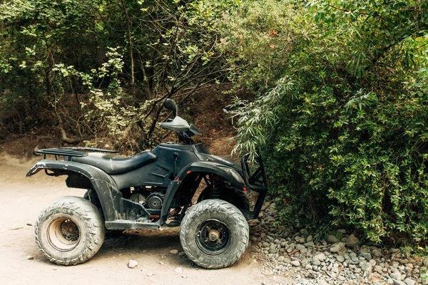 kirli aşırı atv araba ağaçlar yakınındaki dört kiralama 