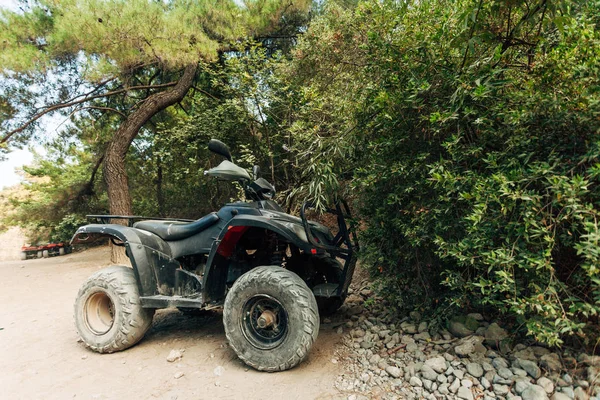 kirli aşırı atv araba ağaçlar yakınındaki dört kiralama 