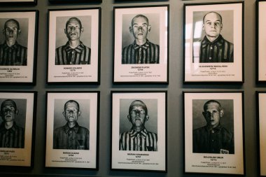 Auschwitz-Birkenau Memorial Museum Yahudi soykırım suçu ve Holokost