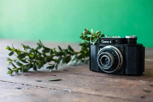 Yeşillik ve kamera dalı