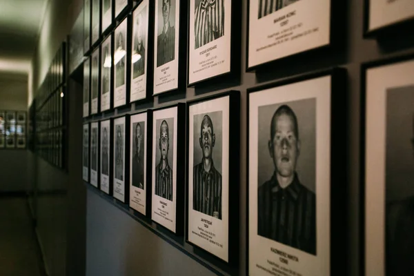 Auschwitz-Birkenau Memorial Museum Yahudi soykırım suçu ve Holokost