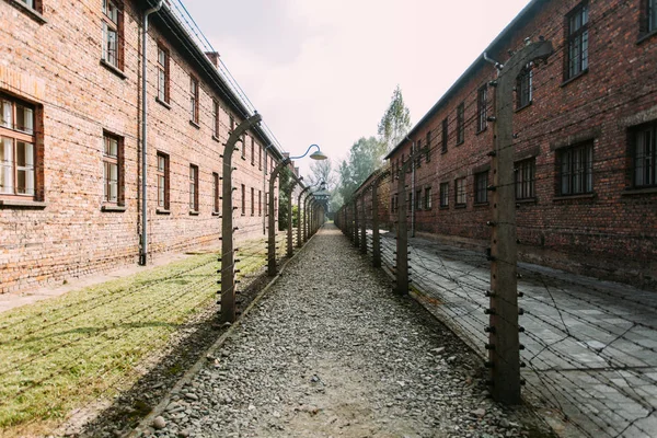 Yahudi Soykırımı ve Holokost, Auschwitz Birkenau'da Anıt Müzesi 