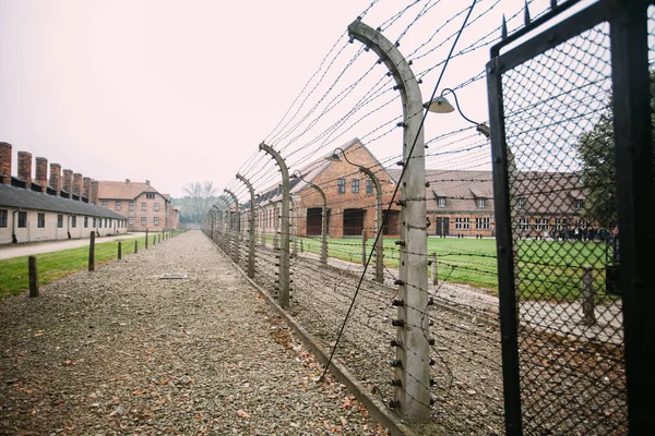 Yahudi Soykırımı ve Holokost, Auschwitz Birkenau'da Anıt Müzesi 