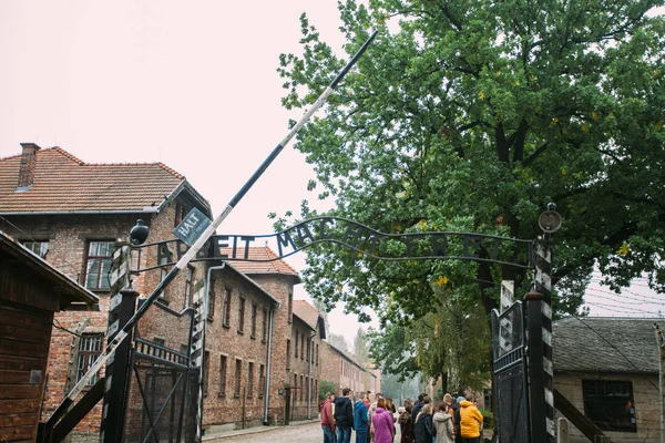 Auschwitz-Birkenau Memorial Museum Yahudi soykırım suçu ve Holokost