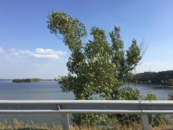 路边的宁静景色 道路上有绿色的植被 免版税图库图片