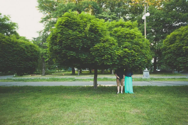 Park Tree yeşillik açık havada birkaç gizleme