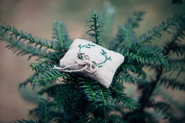 Nikah yüzükleri yeşil dallar