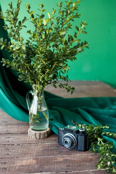 A branch of greenery in a vase and a camera draped with a cloth on a wooden floor