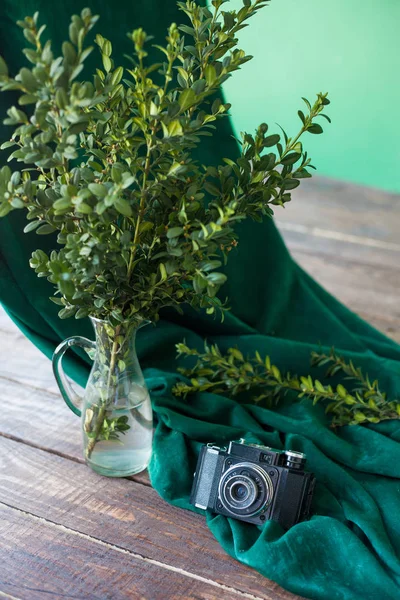 A branch of greenery in a vase and a camera draped with a cloth on a wooden floor