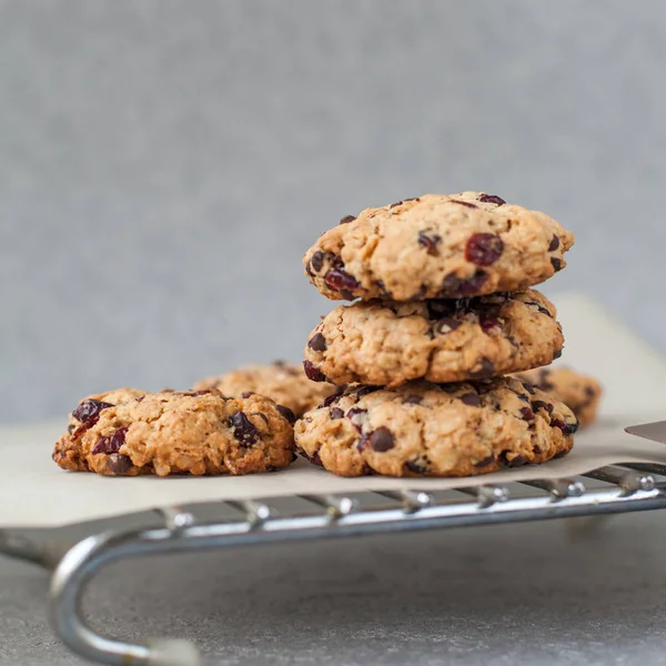 Frische Hausgemachte Bio Kekse Mit Schokoladenstücken Und Getrockneten Beeren Auf — Stockfoto