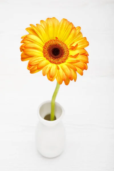 Yellow and red gerbera in vase on white wooden table. Daisy flower in vase